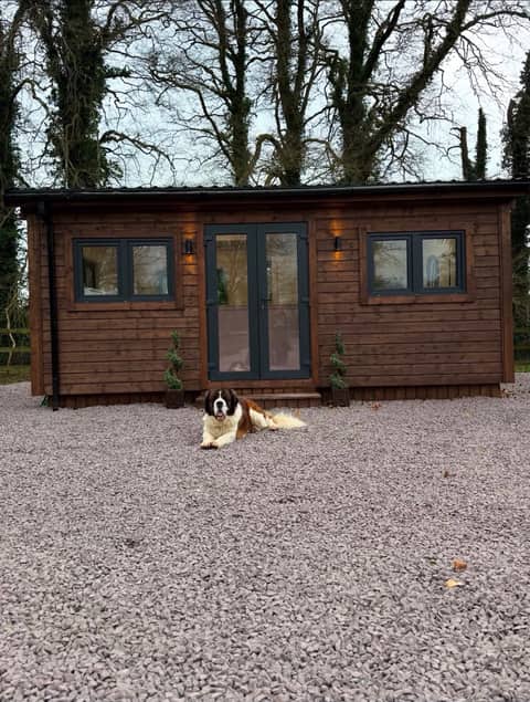 Professional Dog Grooming Studio