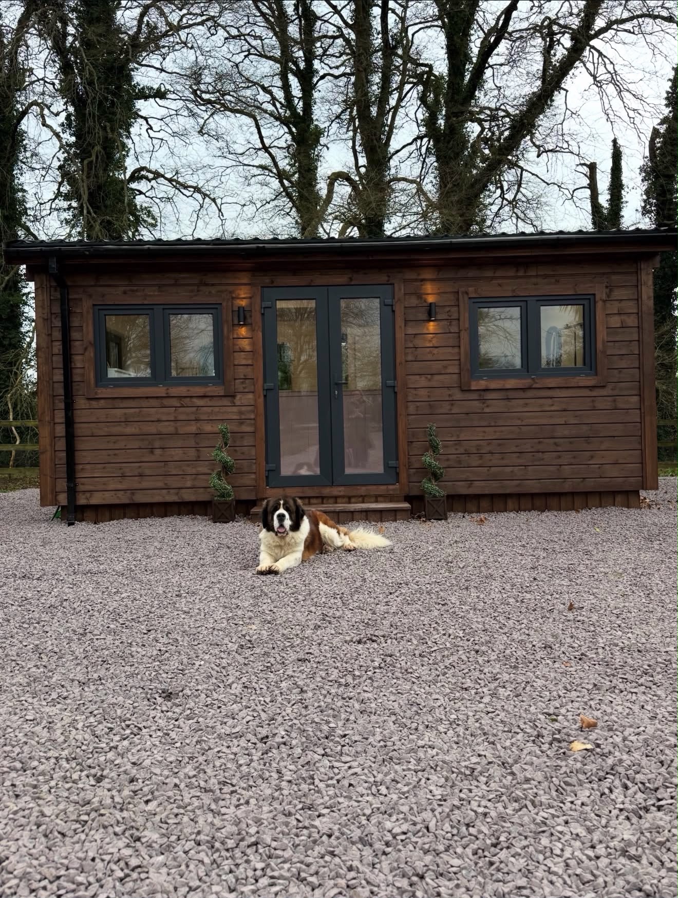 Professional Dog Grooming Studio